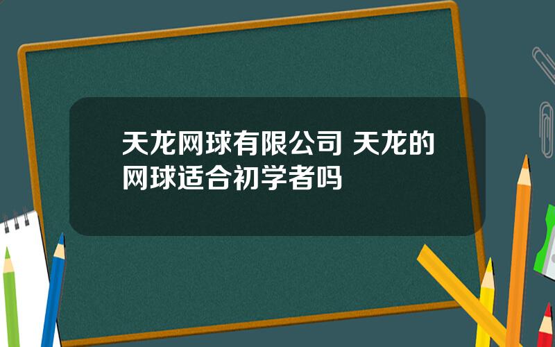 天龙网球有限公司 天龙的网球适合初学者吗